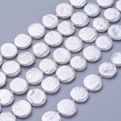 Shell Pearl Beads Strands&nbsp;BSHE-P030-01C