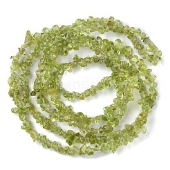 天然石ペリドットビーズ連売り  チップ  1.5~4.5x3~13x2.5~8mm  穴：0.6mm  30.94~31.97インチ（78.6~81.2cm）&nbsp;G-G0003-B27
