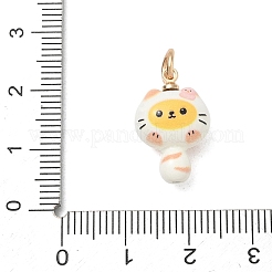 Alloy Enamel Pendants&nbsp;AL-CBA1A1A-01