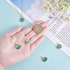 天然アワビシェル/パウアシェルペンダント5個。  18KGP本金メッキ真鍮製パーツとともに  カドミウムフリー＆鉛フリー  長持ちメッキ  フラットラウンドのチャーム  クロス模様  18x13.5x2mm  穴：2x3mm&nbsp;KK-SZ0002-38B