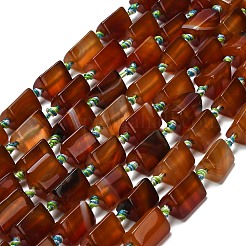 天然石赤瑪瑙ビーズ連売り  染め＆加熱  三角柱  14~19x12~13x12~13mm  穴：2mm  約14~18個/連  16.34~16.93''（41.5~43センチメートル）&nbsp;G-F807-D01-01