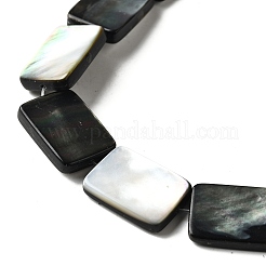 Natural Black Lip Shell Beads Strands&nbsp;BSHE-D300-03-13x18mm