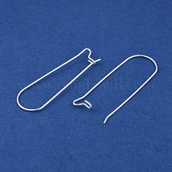 304 Stainless Steel Hoop Earring Findings&nbsp;LS-STAS-P223-01S-05
