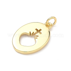 Brass Pendants&nbsp;KK-P345-55G-01