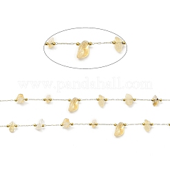 Ion Plating(IP) 316 Surgical Stainless Steel Paperclip Chains&nbsp;CHS-I019-20C