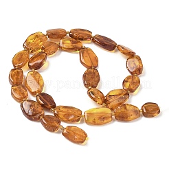 Natural Amber Beads Strands&nbsp;G-L095-C01-04