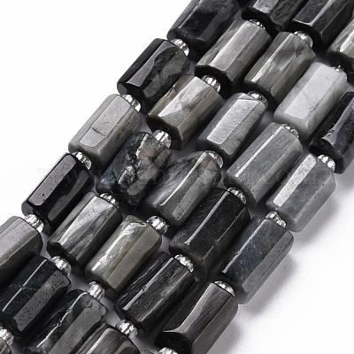 Natural Hawk's Eye Beads Strands&nbsp;G-S345-8x11-009-1