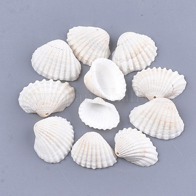 Clam Shell Pendants&nbsp;SSHEL-S258-60-1