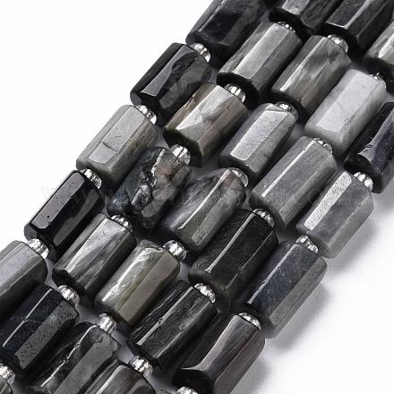 Natural Hawk's Eye Beads Strands G-S345-8x11-009-1