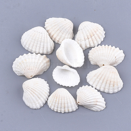Clam Shell Pendants&nbsp;SSHEL-S258-60-1