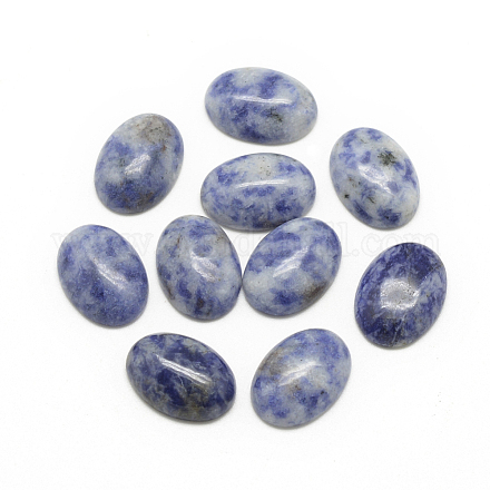 Natural Blue Spot Jasper Cabochons&nbsp;G-R415-14x10-45-1