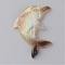 Sea Shell Pendants, Dolphin, Coconut Brown, 43x30x3mm, Hole: 1mm
