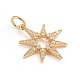 Brass Micro Pave Cubic Zirconia Pendants&nbsp;ZIRC-E164-29G-4