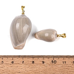 真鍮と天然オリーブ貝のペンダント  巻貝チャーム  ライトゴールド  ロージーブラウン  23~42x12~25x11~20mm  穴：4~5x3.5mm&nbsp;SHEL-Q029-22KCG