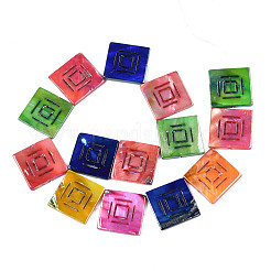 Freshwater Shell Beads Strands&nbsp;SHEL-S276-166