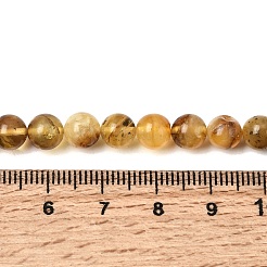Natural Amber Beads Strands&nbsp;G-K376-H01-01