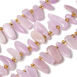 Natural Kunzite Beads Strands&nbsp;G-P604-A26-01