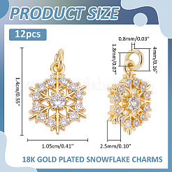 12Pcs Brass Micro Pave Cubic Zirconia Pendants&nbsp;KK-ME0004-66