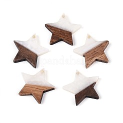 Resin & Walnut Wood Pendants&nbsp;RESI-T057-37M
