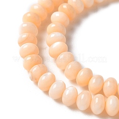 Natural Freshwater Shell Beads Strands&nbsp;SSHEL-C013-07H