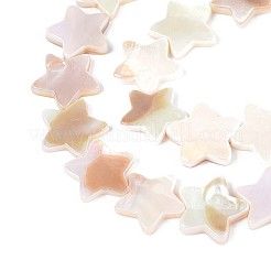 天然淡水シェルビーズ連売り  ABカラーメッキ  スター  貝殻色  14.5~16x14.5~17x2~3.5mm  穴：0.7mm  約29~30個/連  15.55~16.14インチ（39.5~41cm）&nbsp;SSHEL-N040-18