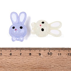 ゼリーのような質感のアクリルビーズ  兎  エナメル  ミックスカラー  32~32.5x18.5~19x16~16.5mm  穴：3.2mm&nbsp;OACR-N126-05