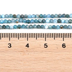 Natural Apatite Beads Strands&nbsp;G-RM250104-A2