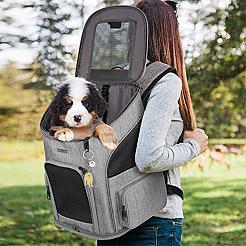 Wewaysmile 犬用キーホルダー 2個 車用キーホルダー ペットペンダント キーリング 可愛い犬用キーリング ポータブル メタルキーホルダー ペット愛好家へのギフト 誕生日 子犬テーマ パーティー用品 (金色の毛の犬)  プラチナ  10.6x2.6cm&nbsp;JX787A
