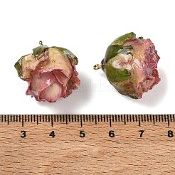 真鍮エポキシ樹脂ペンダント  内側にドライフラワーのペンダント  バラの花のチャーム  金色のループ付き  ショッキングピンク  19~27x21~27x19~28.5mm  穴：1.6mm&nbsp;FIND-D043-01G-09