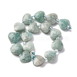 Natural Amazonite Beads Strands&nbsp;G-P570-E15-01