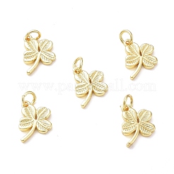 Rack Plating Brass Charms&nbsp;KK-F849-02G