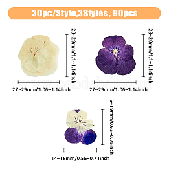 ドライパンジーフラワー 120種類 3個  クラフト素材  ミックスカラー  25~40x14~40x0.2~0.7mm  40個/スタイル&nbsp;DIY-HY0001-62