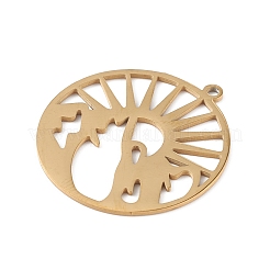 201 Stainless Steel Pendants&nbsp;LS-STAS-K250-01G