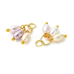 Electroplated Shell Pearl Pendants&nbsp;PALLOY-JF05644