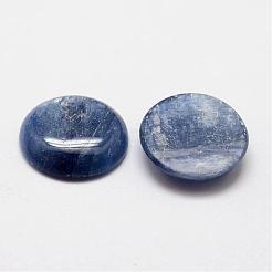 天然藍晶石/シアン石/ジステンカボション  半円/ドーム  16x4mm&nbsp;G-O146-01H