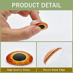 30個15スタイルの光るガラスカボション  目で半円形  ミックスカラー  20x6mm  2個/スタイル&nbsp;DIY-CA0004-97