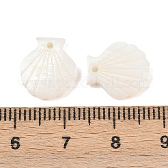 Natural Freshwater Shell Carved Shell Shape Charms&nbsp;SHEL-B005-03
