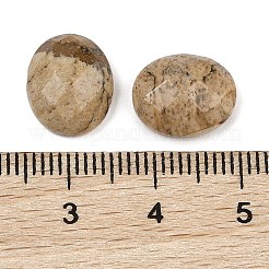 Natural Picture Jasper Cabochons&nbsp;G-Q186-01A