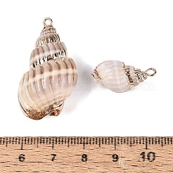 Electroplate Natural Spiral Shell Pendants&nbsp;SSHEL-Q100-29KCG