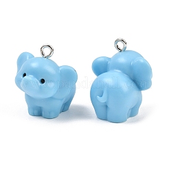 Opaque Resin Pendants&nbsp;RE-CBA0127-04