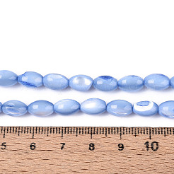 天然ニシキウズガイシェルビーズ連売り  染め  ライス  コーンフラワーブルー  8.5~9x6mm  穴：0.8mm  約43~45個/連  15.16~15.94''（38.5~40.5cm）。&nbsp;SHEL-K006-19-01A