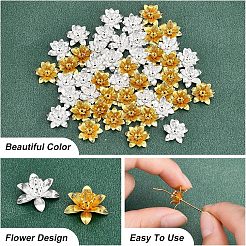 48Pcs 2 Colors 3D Brass Bead Caps&nbsp;KK-FH0002-42