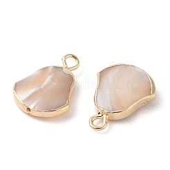 Natural Trochous Shell Pendants&nbsp;SHEL-P017-11G