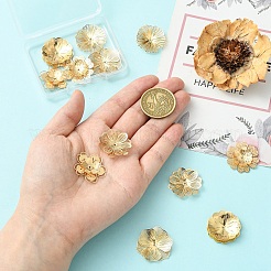 12Pcs 6 Styles Brass Bead Caps&nbsp;KK-YW0004-72
