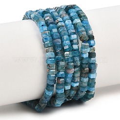Natural Apatite Beads Strands&nbsp;G-G345-C26-2x4mm