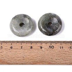天然石ラブラドライトペンダント  ドーナツ/円盤チャーム  25x8~9mm  穴：4~5mm&nbsp;G-Q601-30B-03