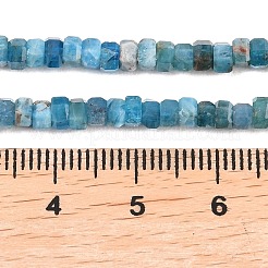 Natural Apatite Beads Strands&nbsp;G-G345-C26-2x4mm