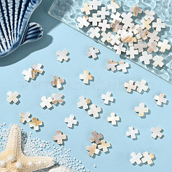 天然淡水シェルビーズ 60 個  クロス  アンティークホワイト  11.5~12x11.5~12x2.8mm  穴：0.6mm&nbsp;SSHEL-SC0001-41