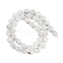 Natural Rainbow Moonstone Beads Strands&nbsp;G-G182-B29-03