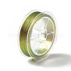 ポリエステル製メタリック糸 10巻  ジュエリー作成用の3プライポリエステルコード  ミックスカラー  0.2mm  約54.68ヤード（50m）/ロール&nbsp;OCOR-E026-03